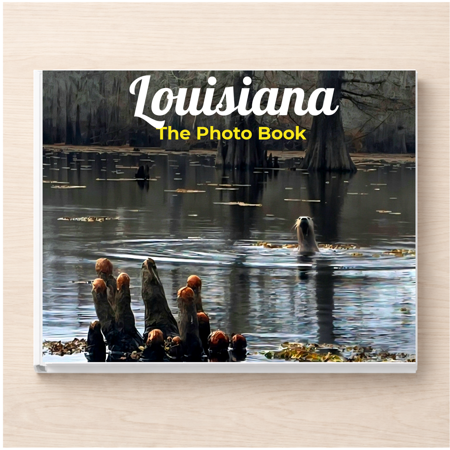 Louisiana: The Photo Book