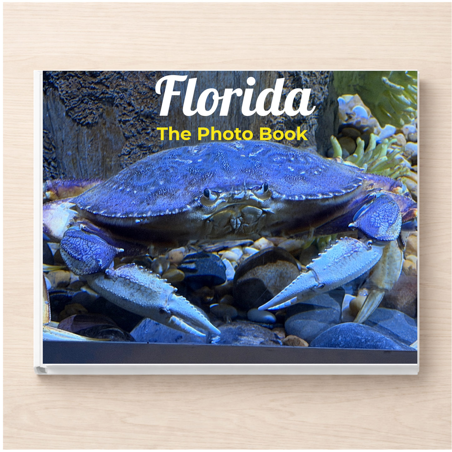 Florida: The Photo Book
