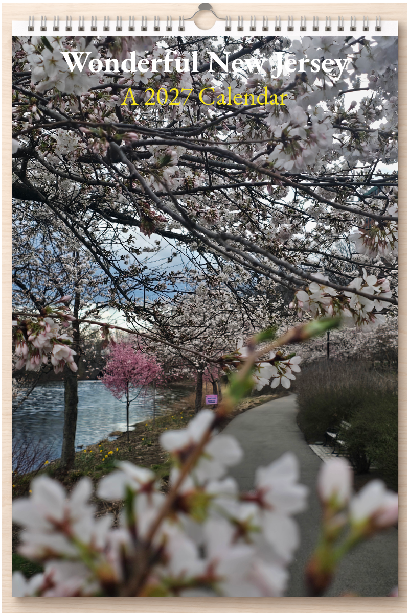 Wonderful New Jersey: A 2027 Calendar