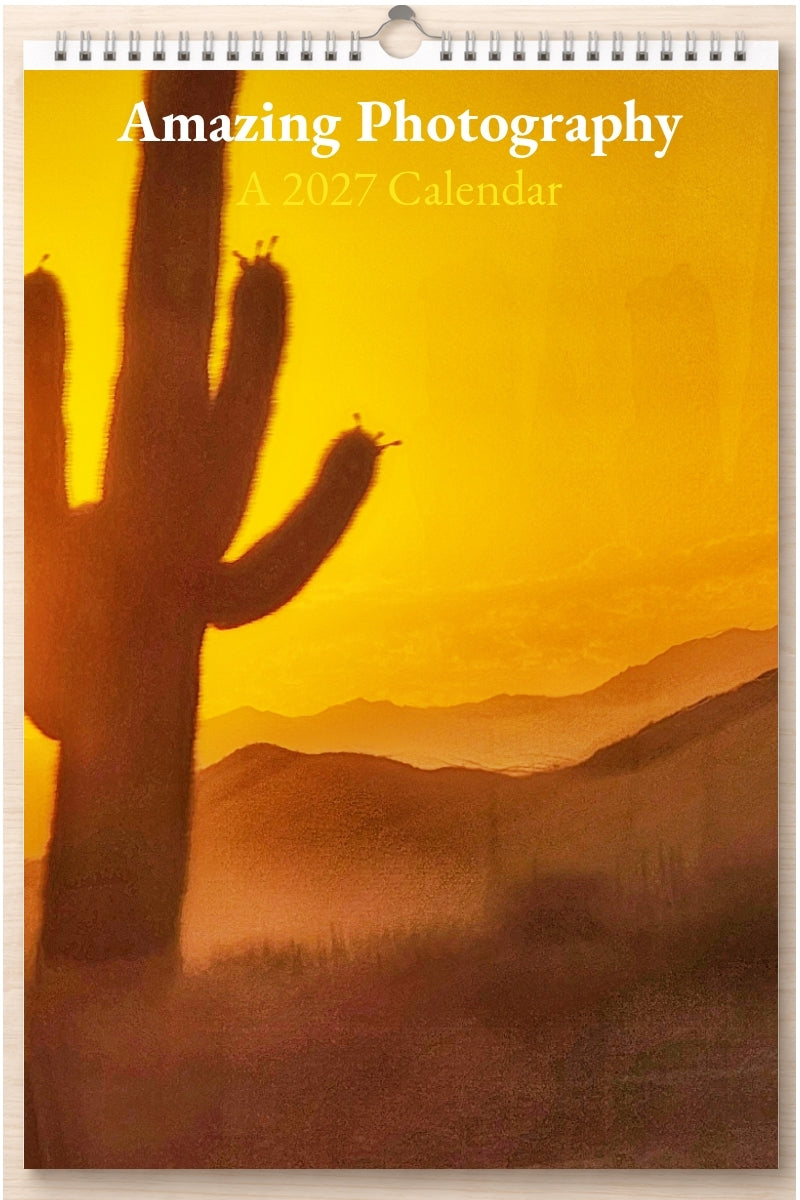 Amazing Photography: A 2027 Calendar