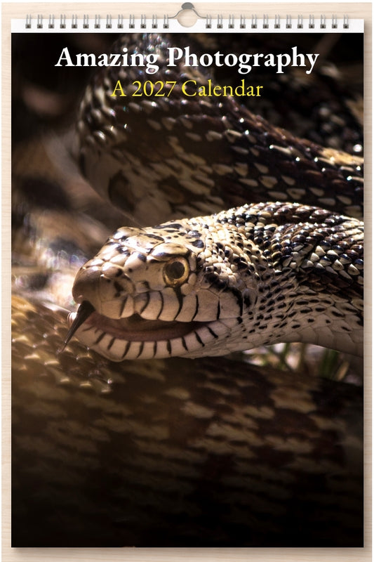 Amazing Photography: A 2027 Calendar