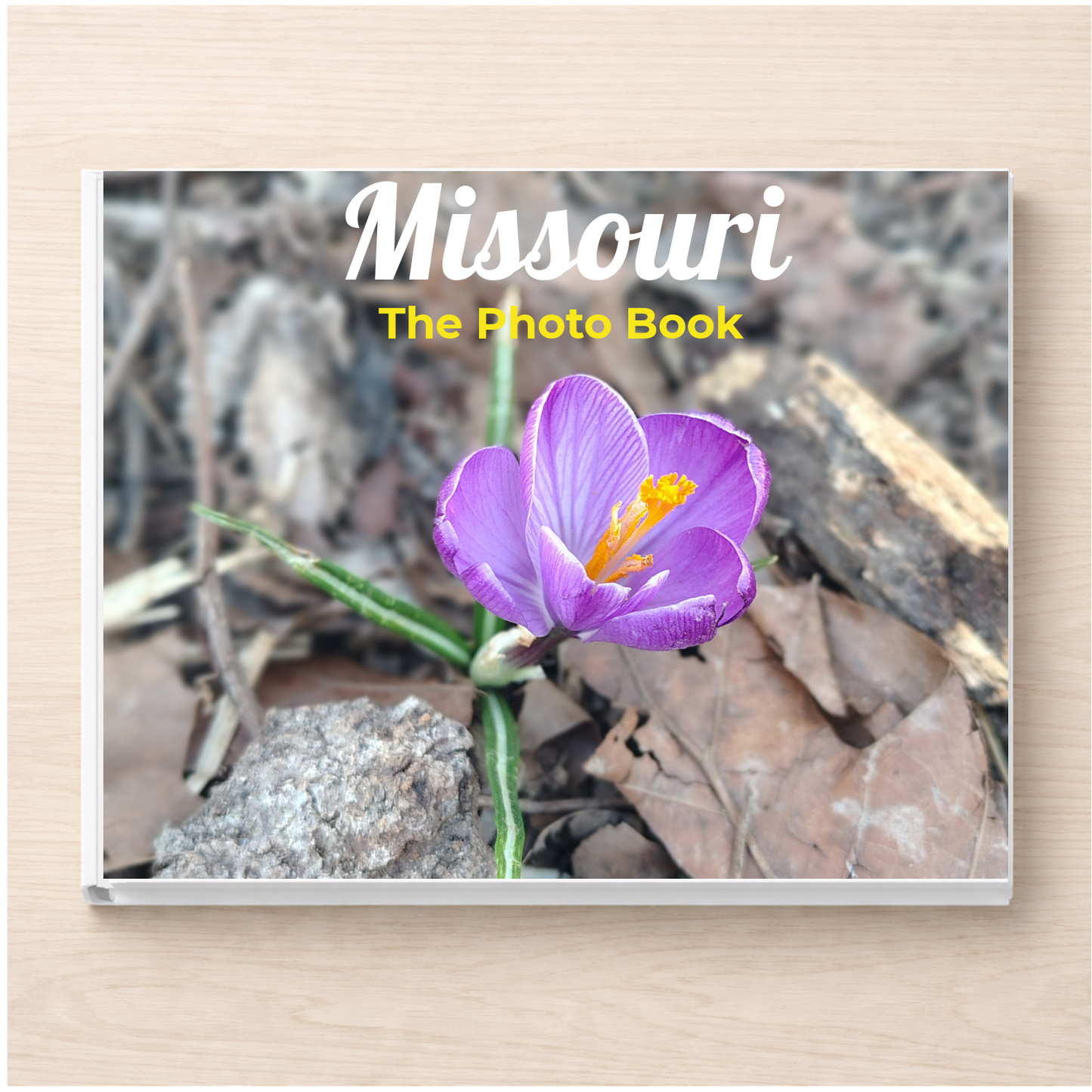 Missouri: The Photo Book