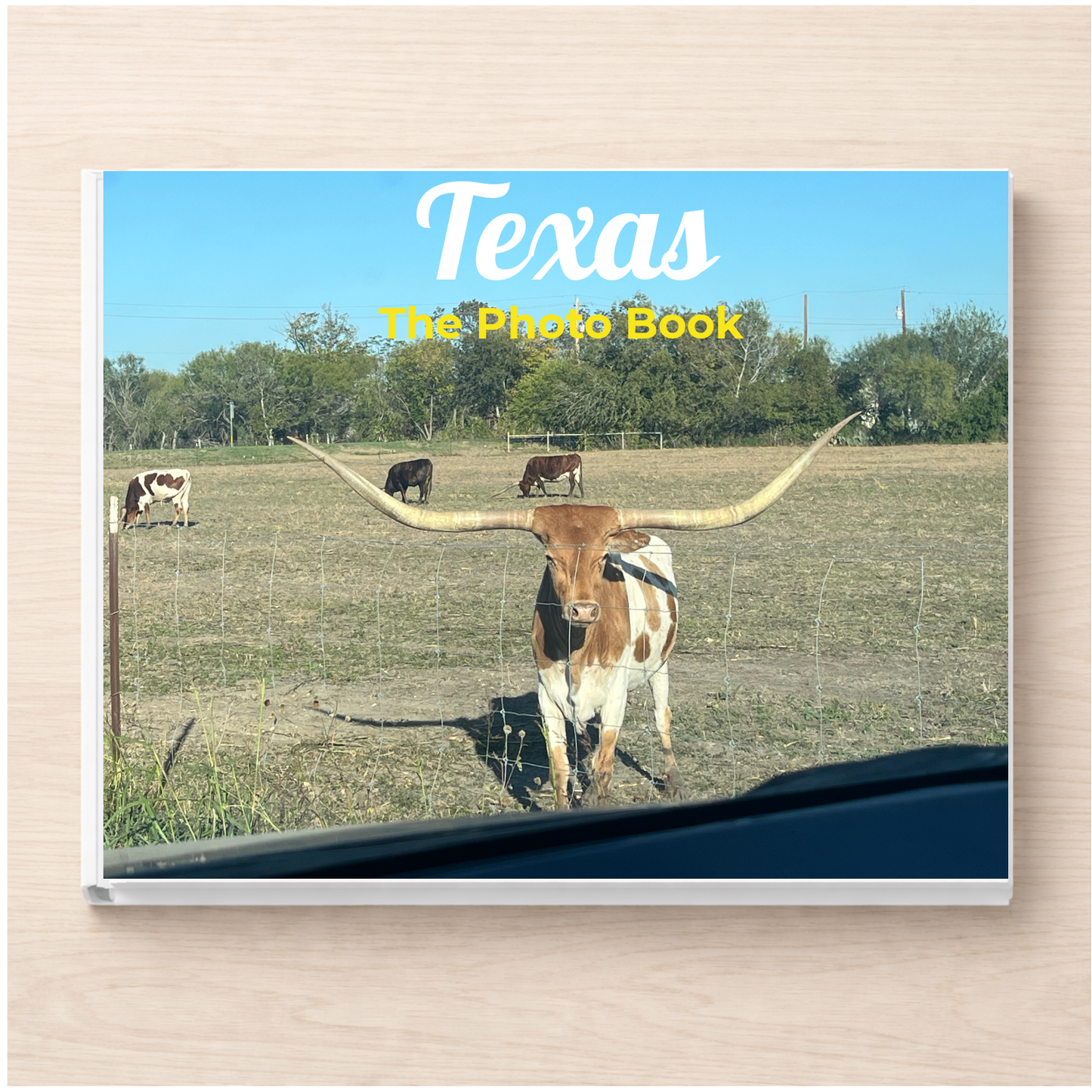 Texas: The Photo Book