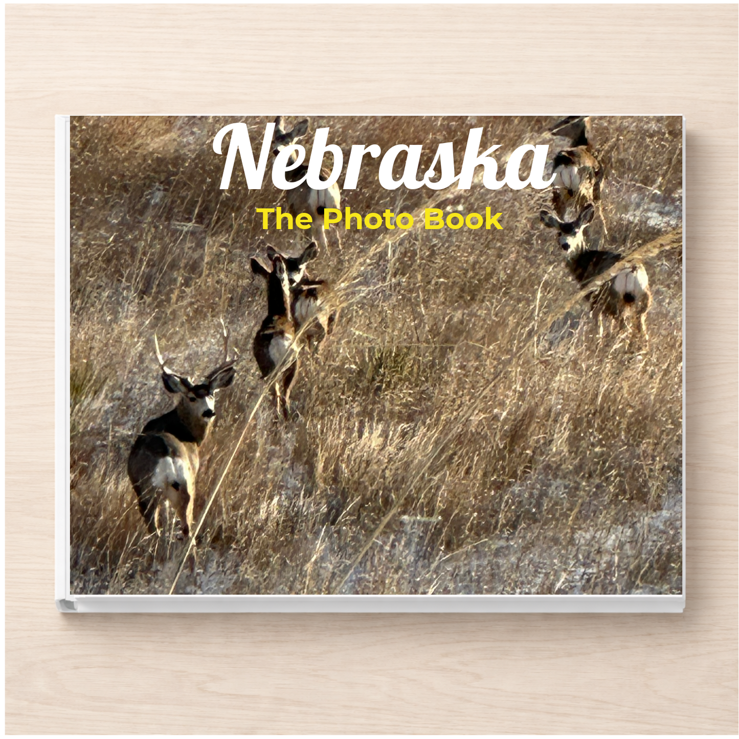 Nebraska: The Photo Book