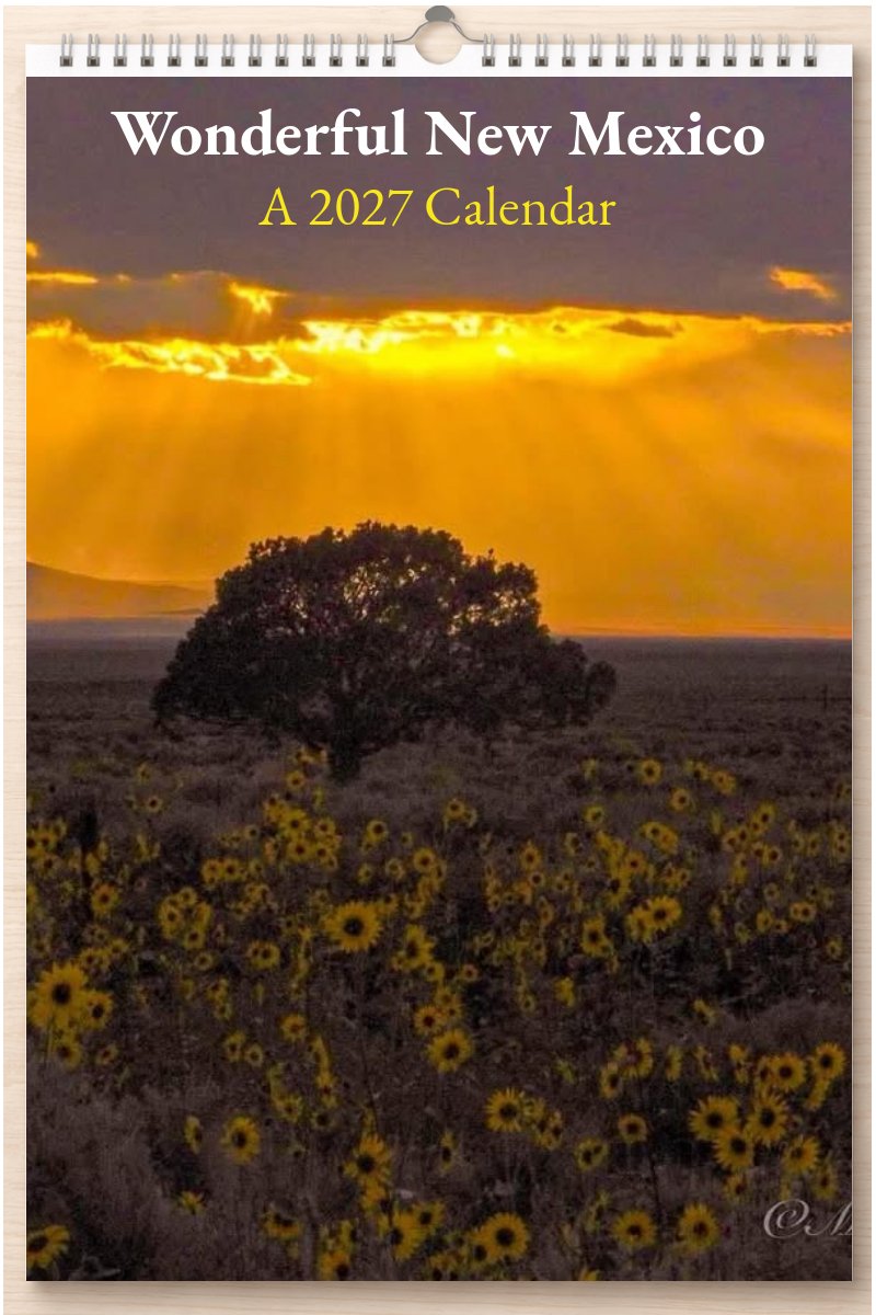 Wonderful New Mexico: A 2027 Calendar