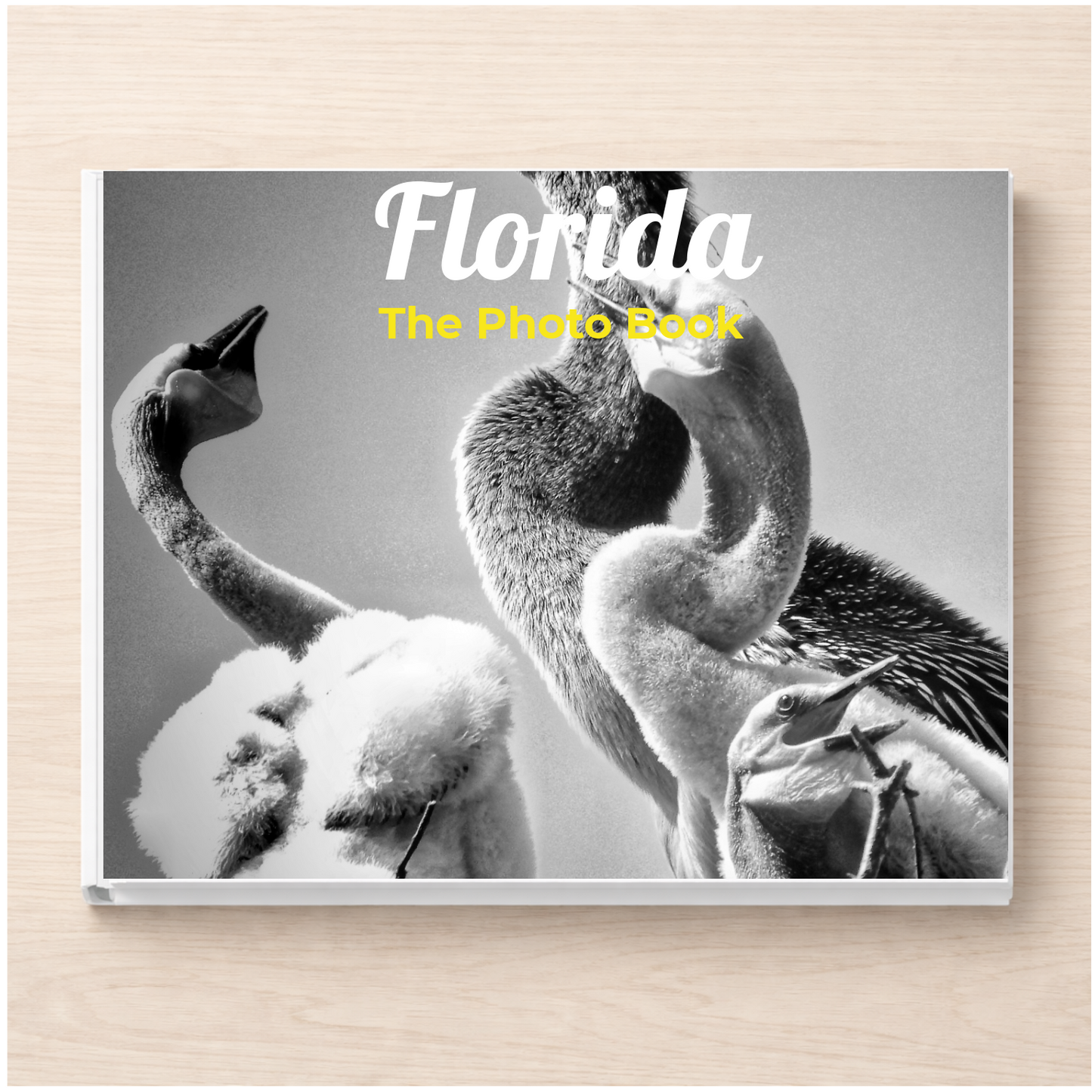 Florida: The Photo Book