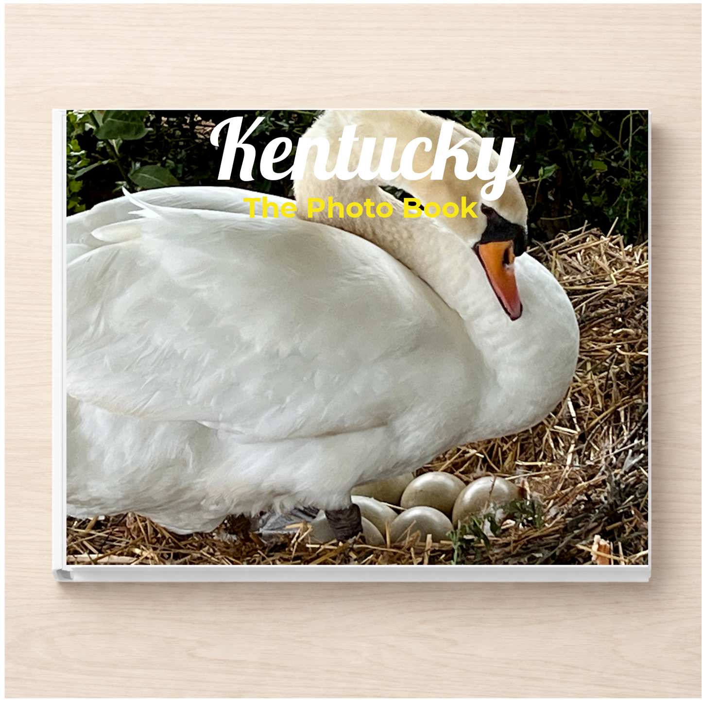 Kentucky: The Photo Book