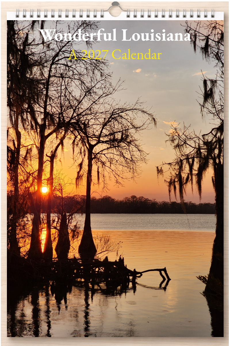 Wonderful Louisiana: A 2027 Calendar