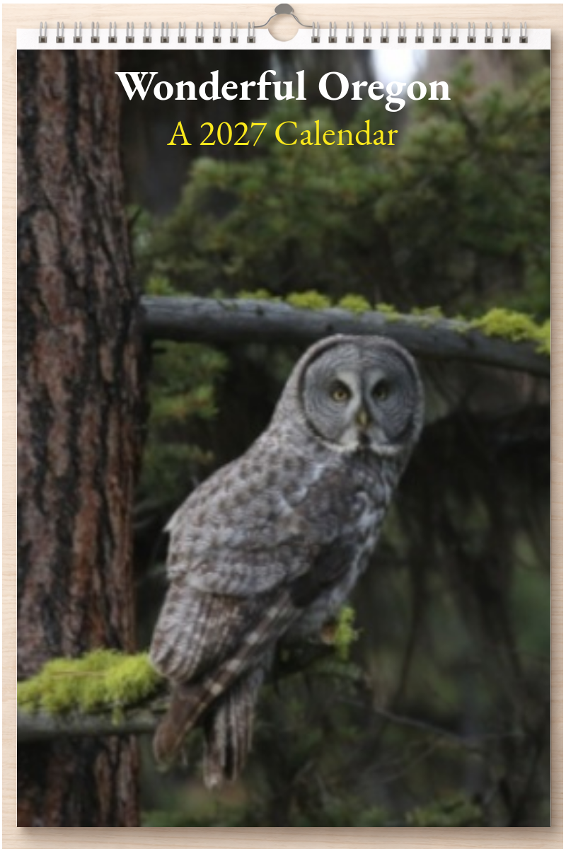 Wonderful Oregon: A 2027 Calendar