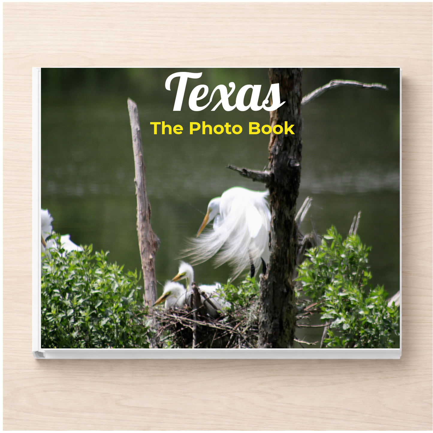 Texas: The Photo Book