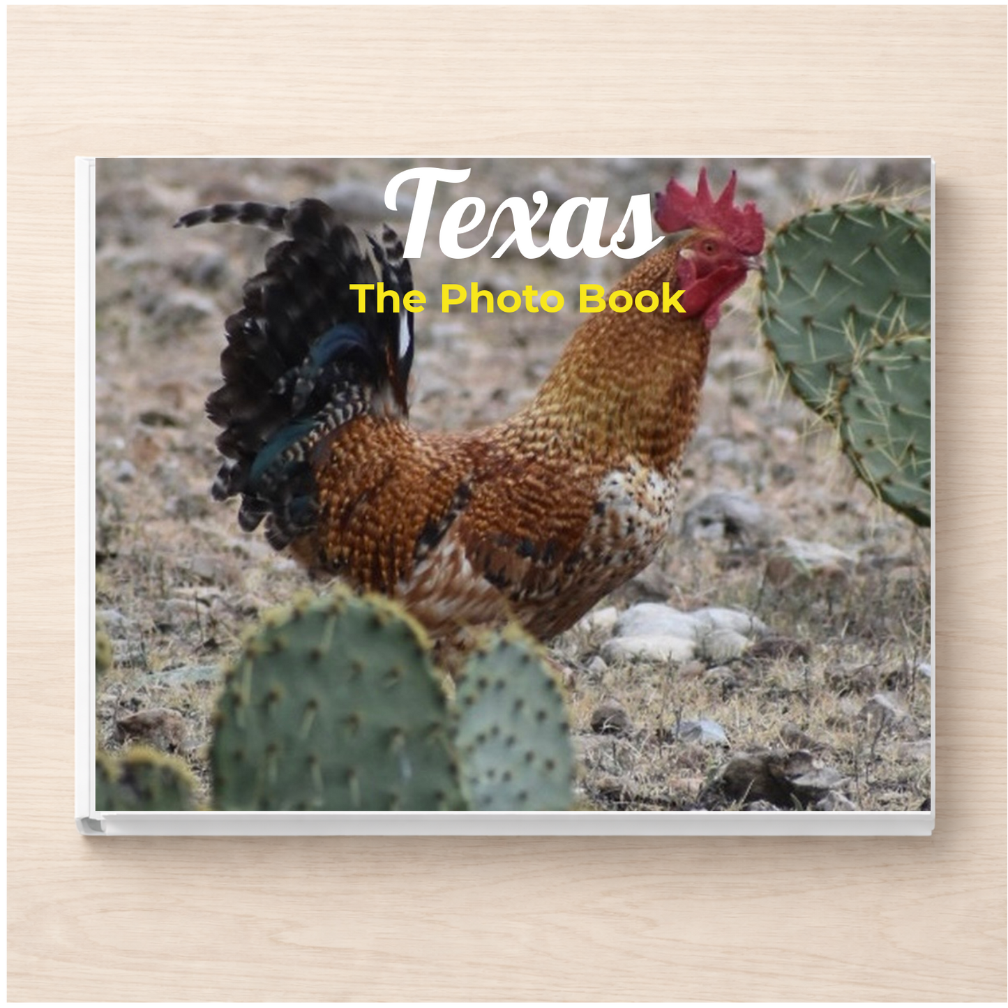 Texas: The Photo Book