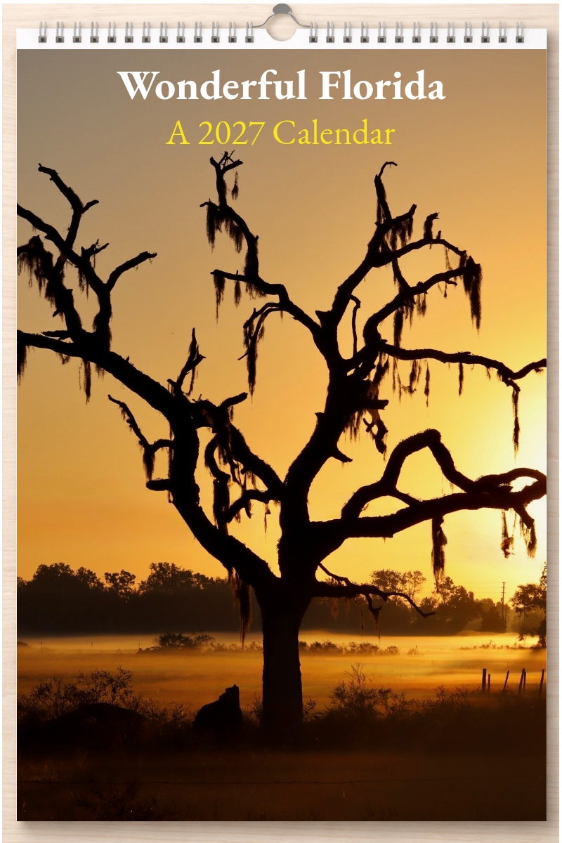 Wonderful Florida: A 2027 Calendar