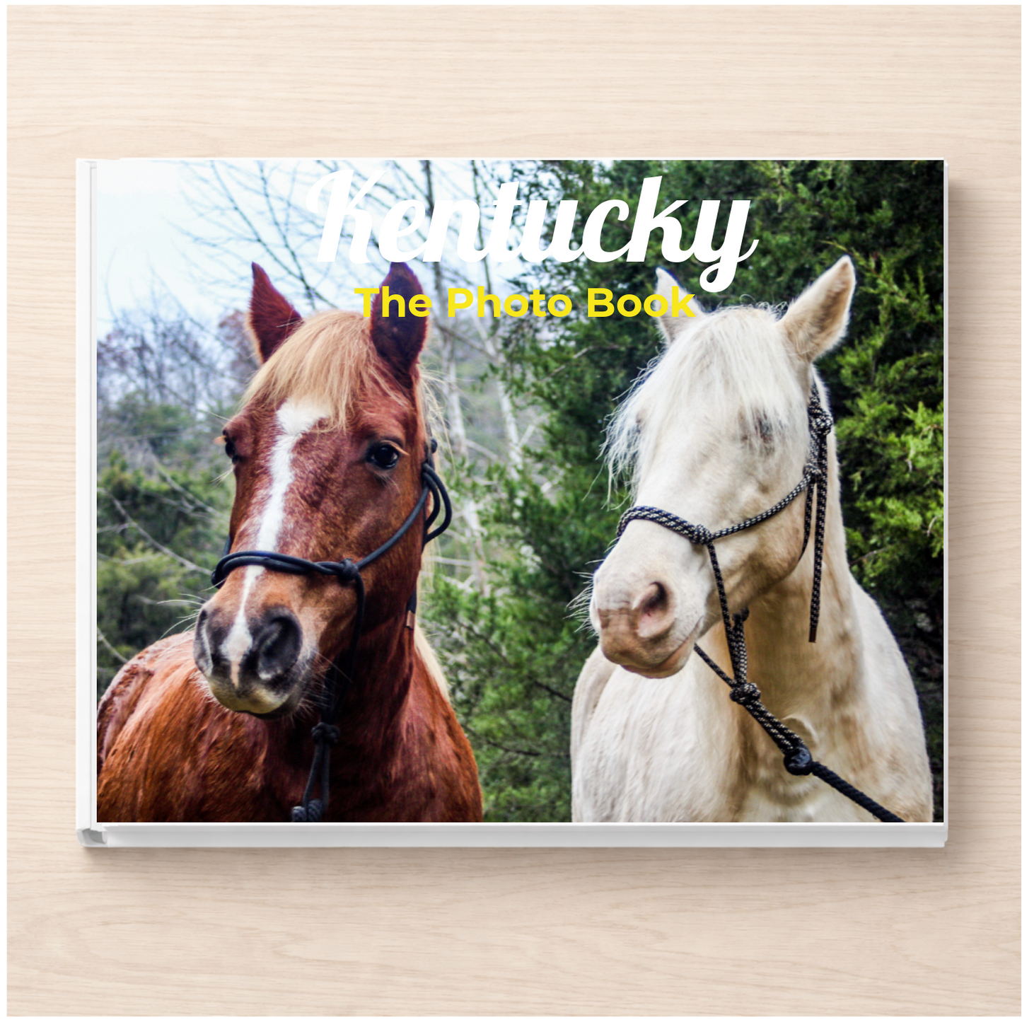 Kentucky: The Photo Book