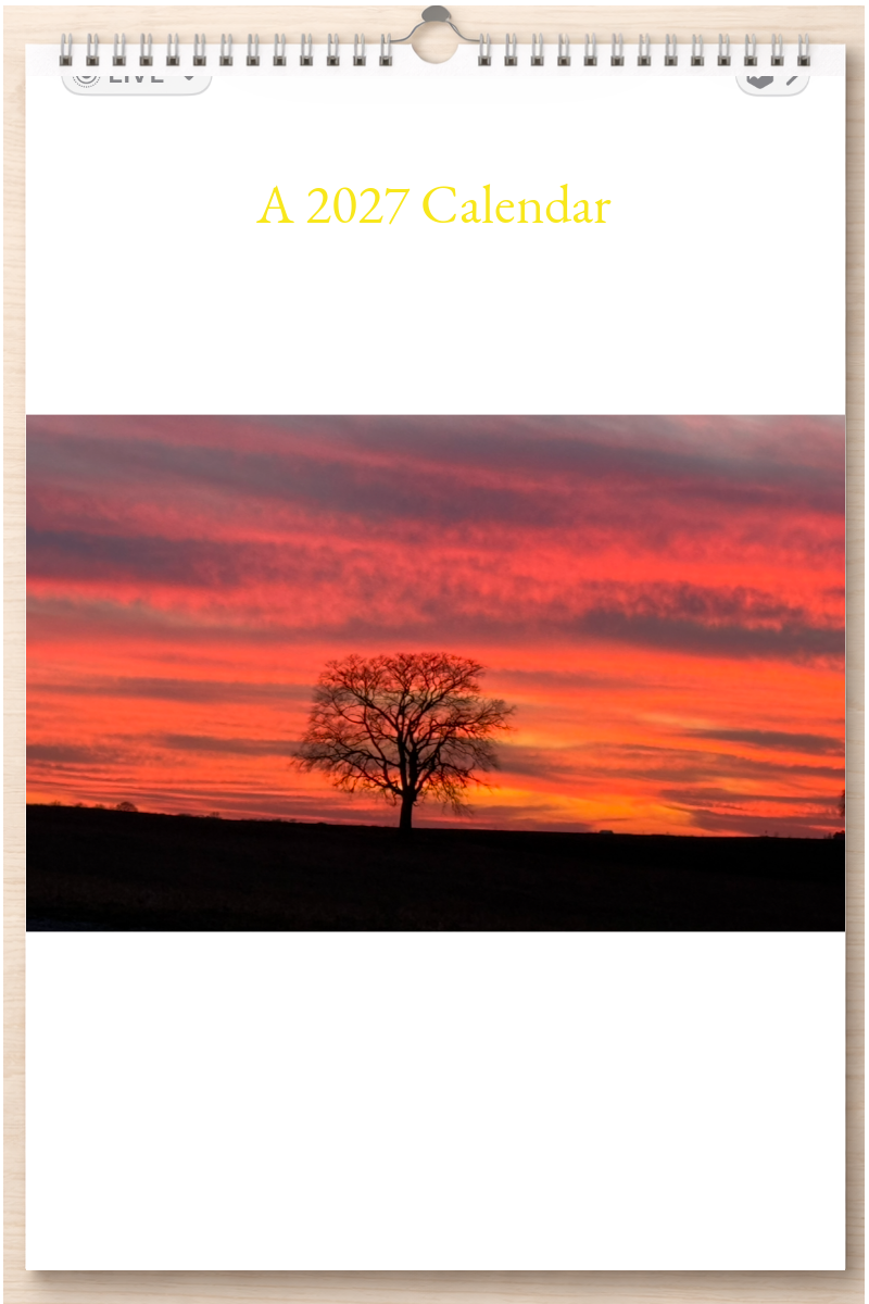 Wonderful Illinois: A 2027 Calendar