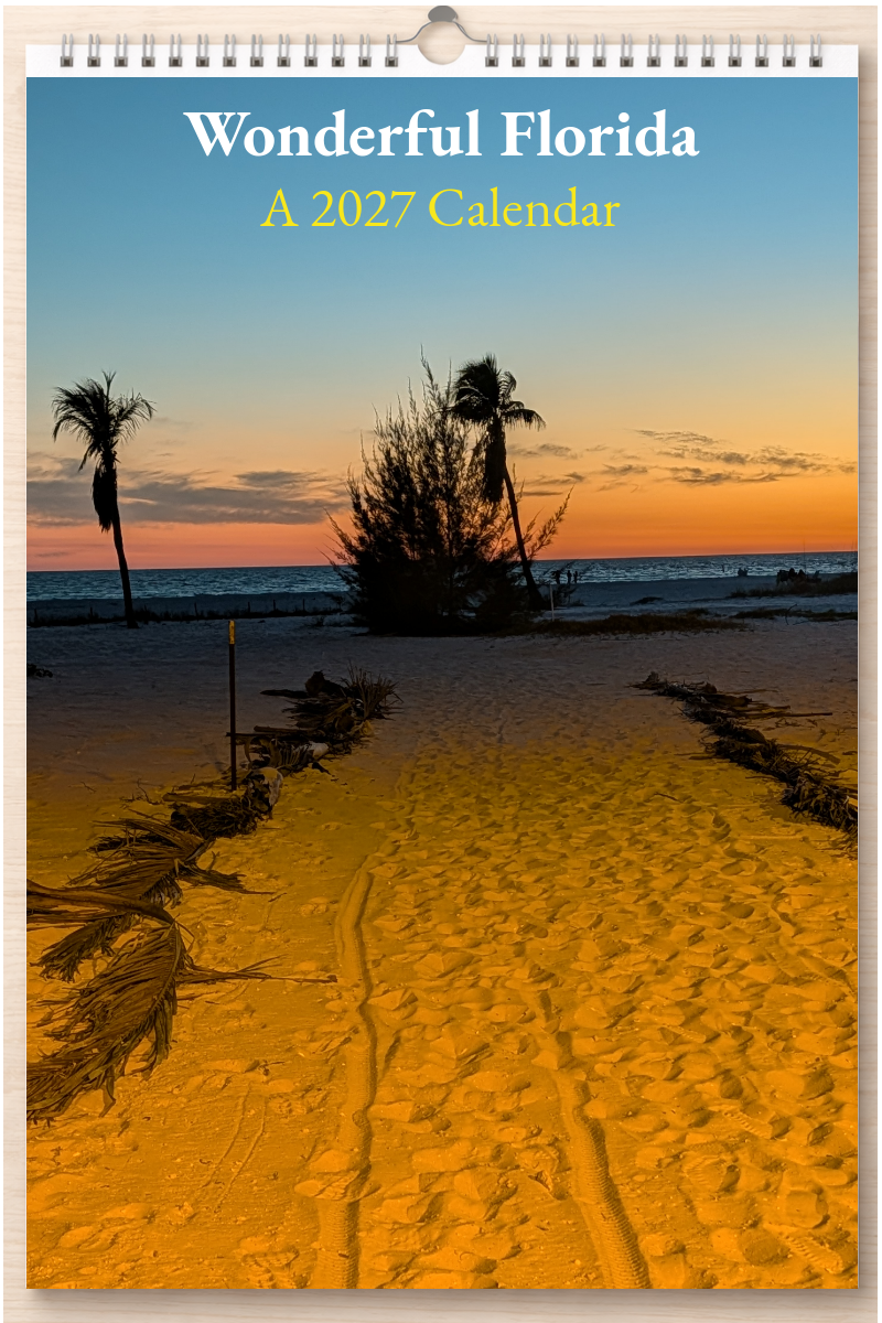 Wonderful Florida: A 2027 Calendar