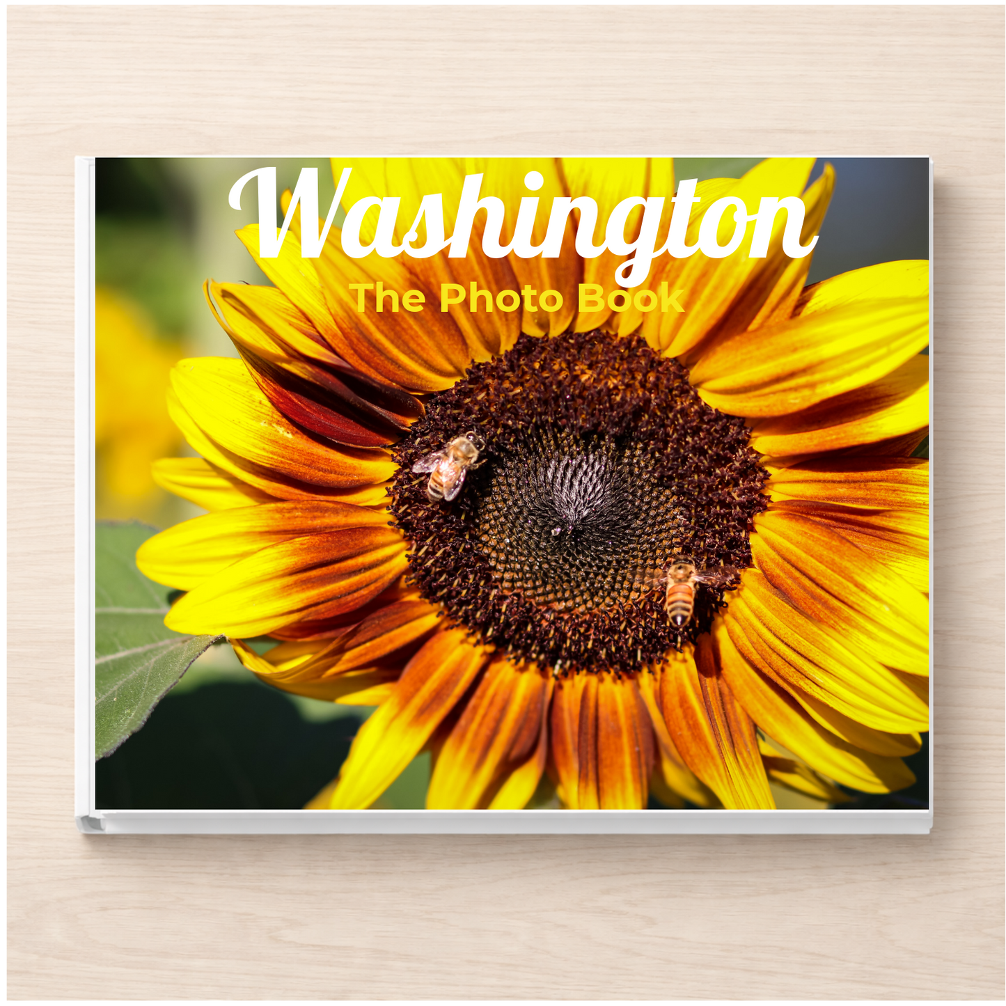 Washington: The Photo Book