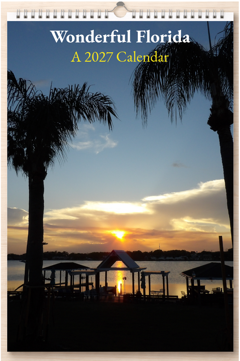 Wonderful Florida: A 2027 Calendar