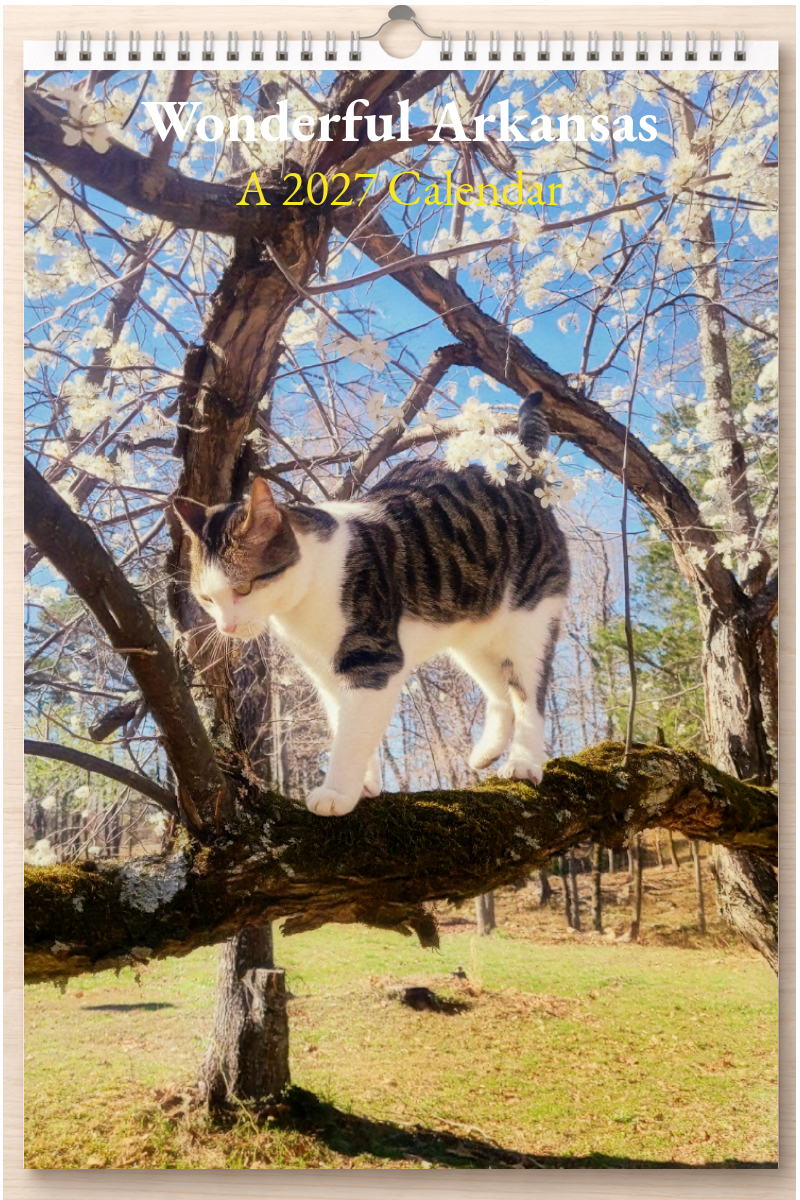 Wonderful Arkansas: A 2027 Calendar