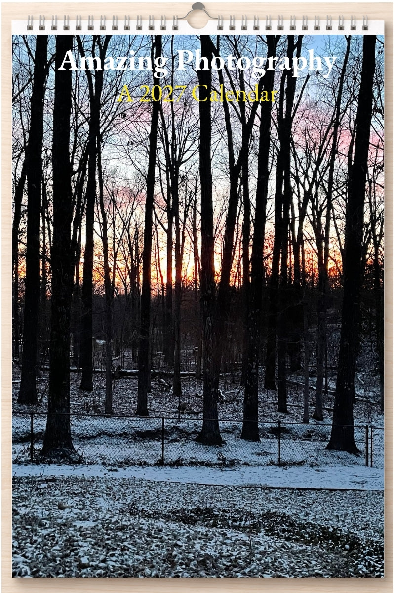 Amazing Photography: A 2027 Calendar