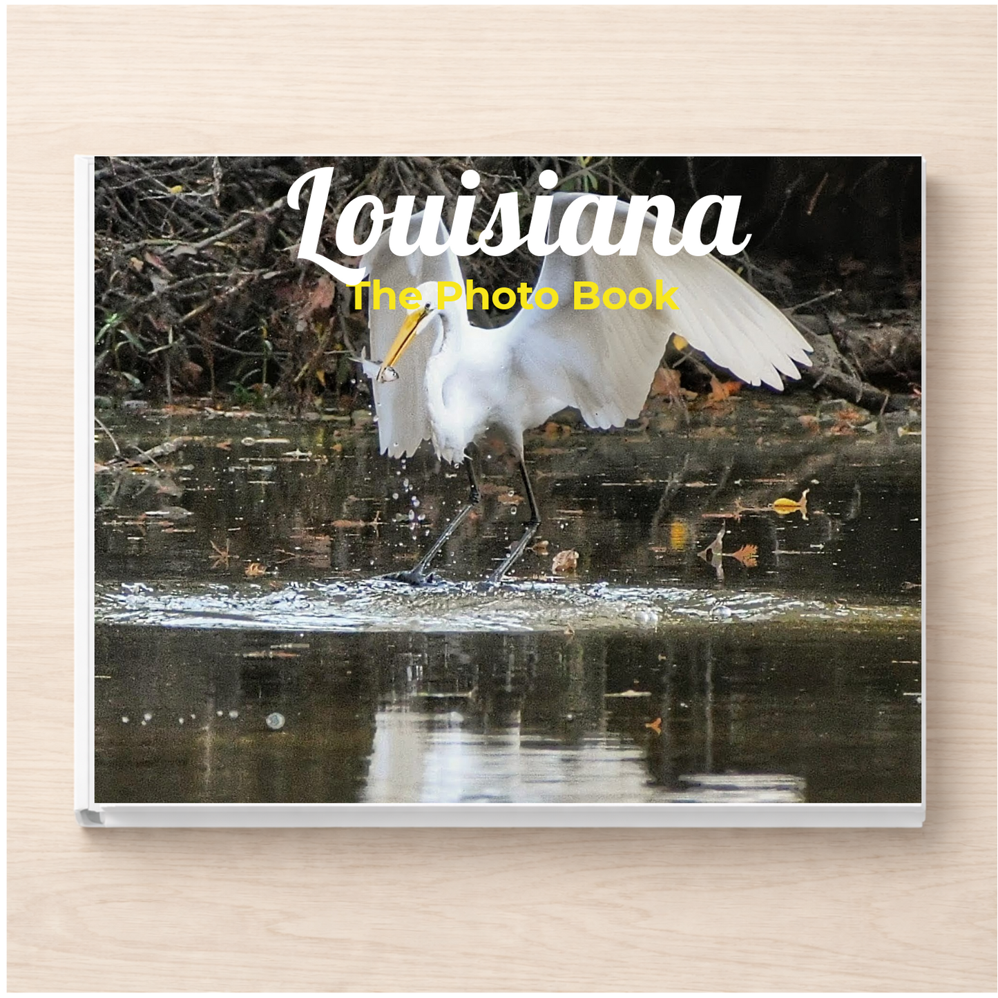 Louisiana: The Photo Book