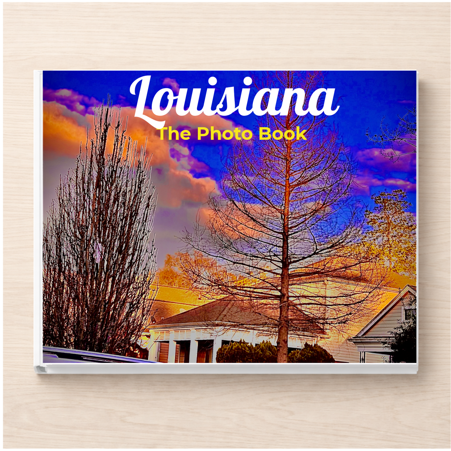 Louisiana: The Photo Book