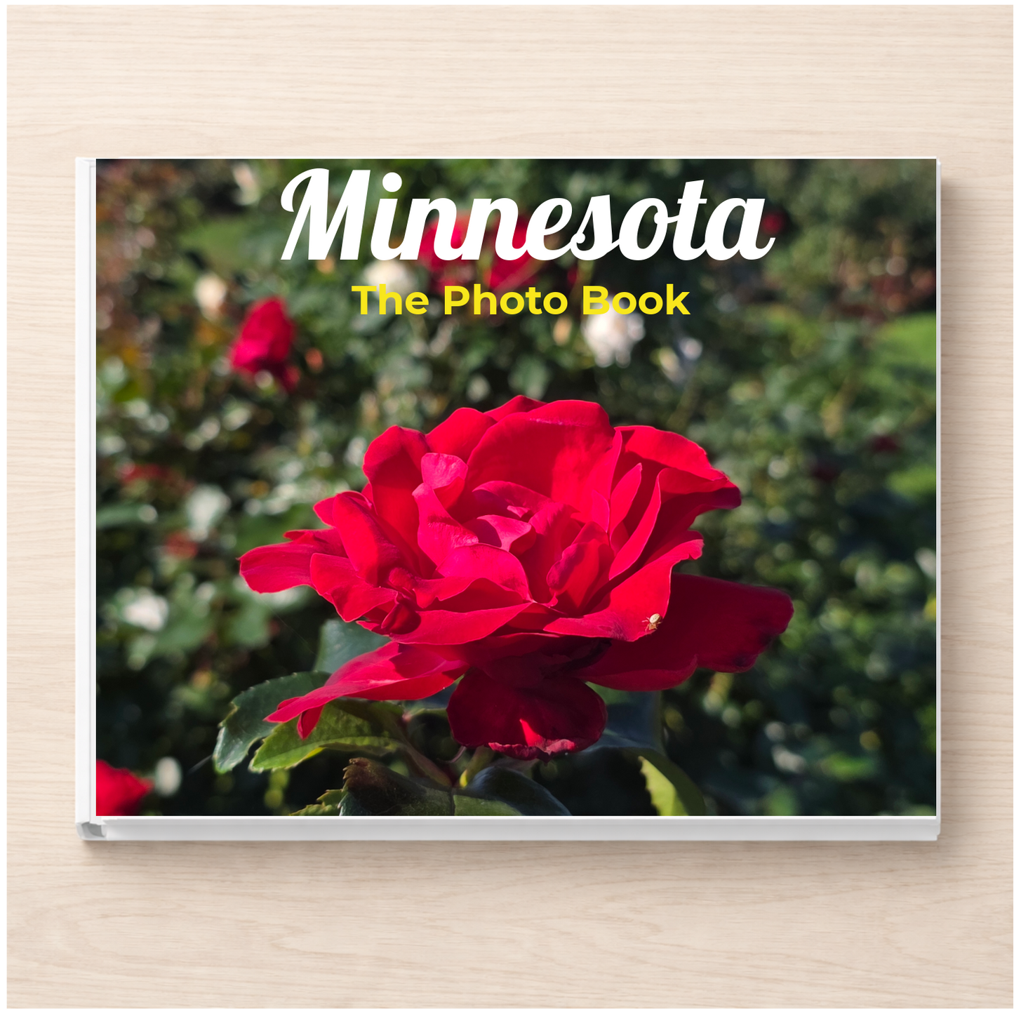 Minnesota: The Photo Book
