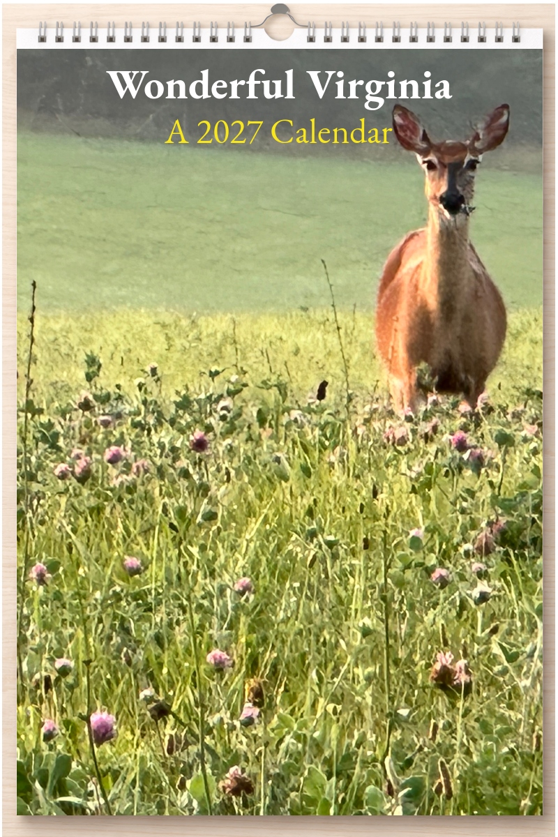 Wonderful Virginia: A 2027 Calendar