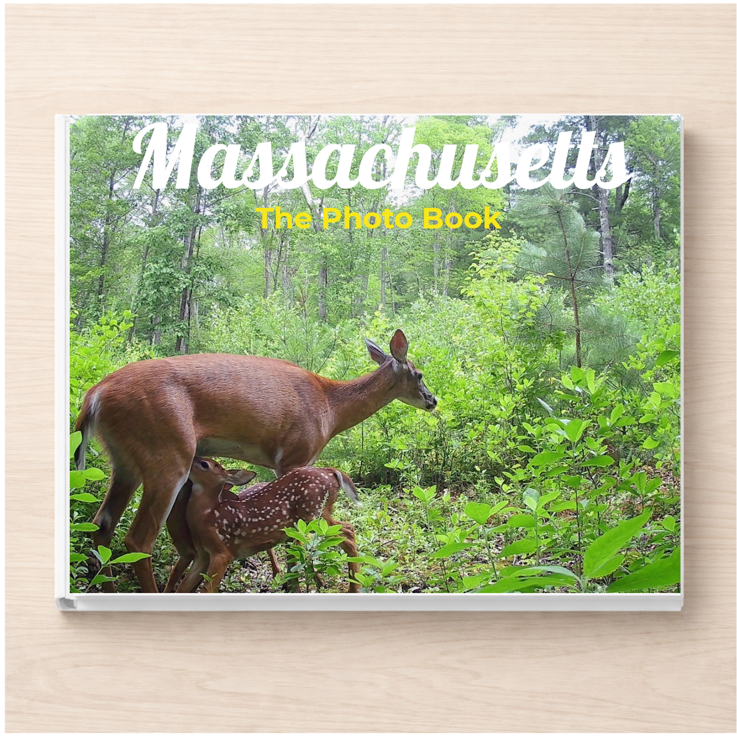 Massachusetts: The Photo Book