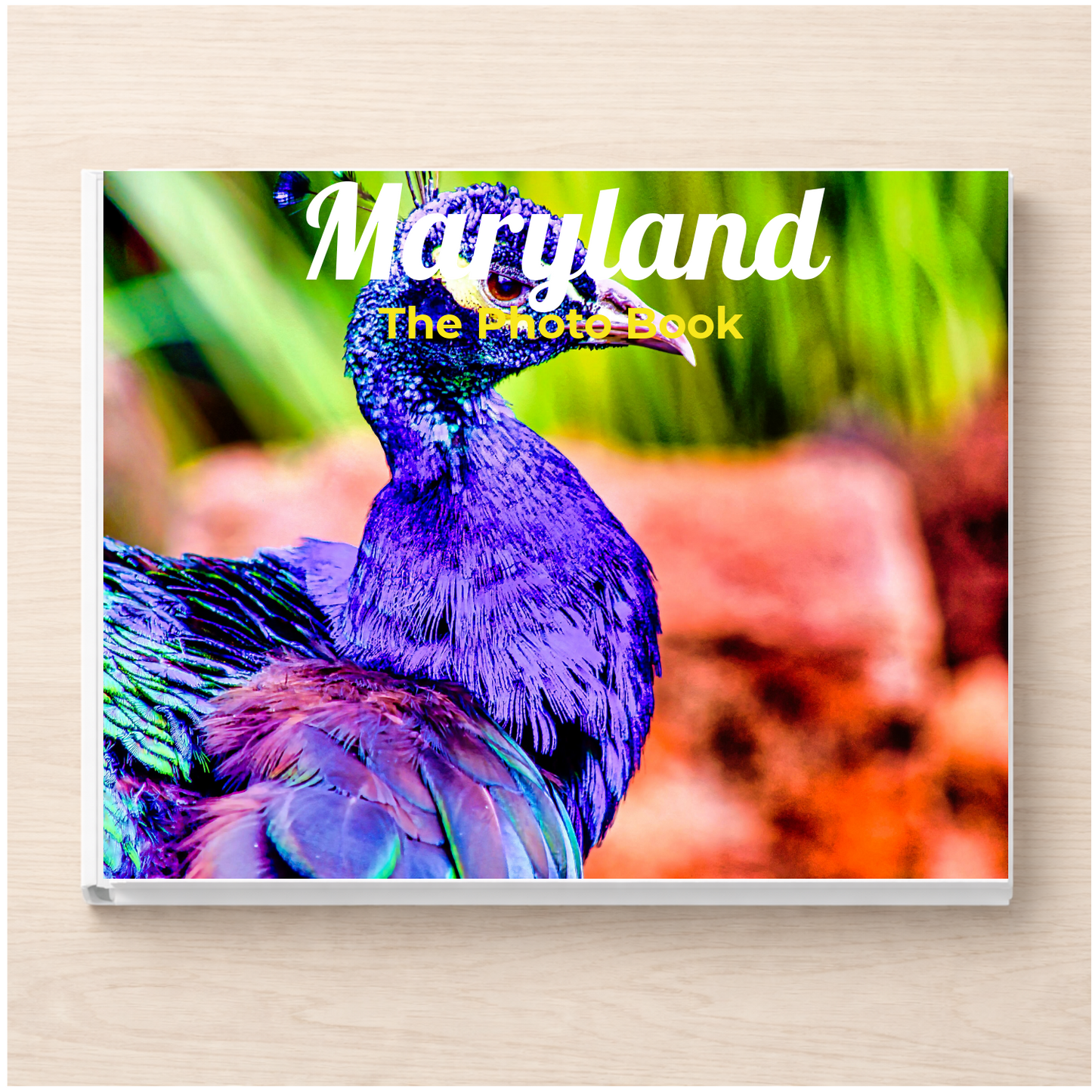 Maryland: The Photo Book