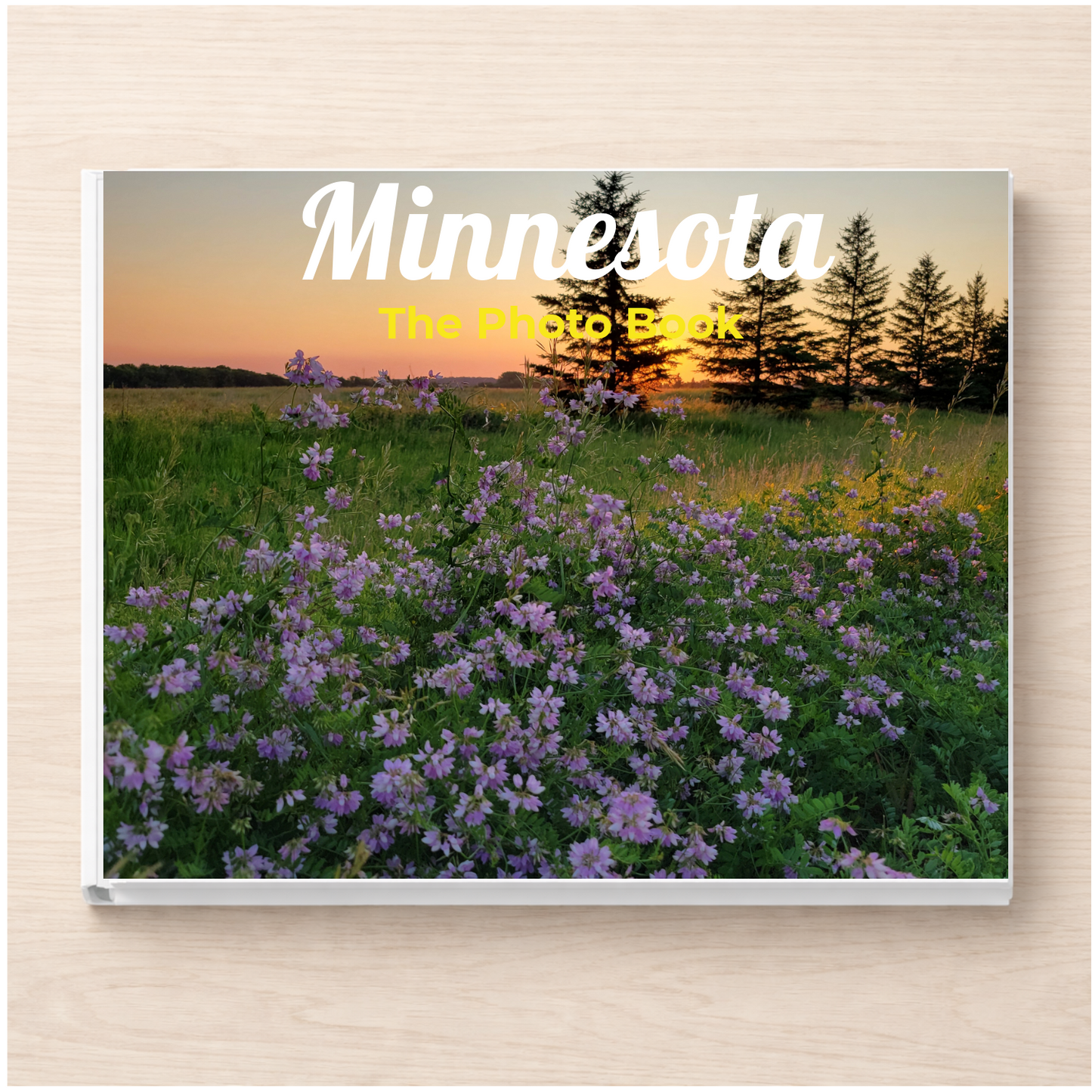 Minnesota: The Photo Book