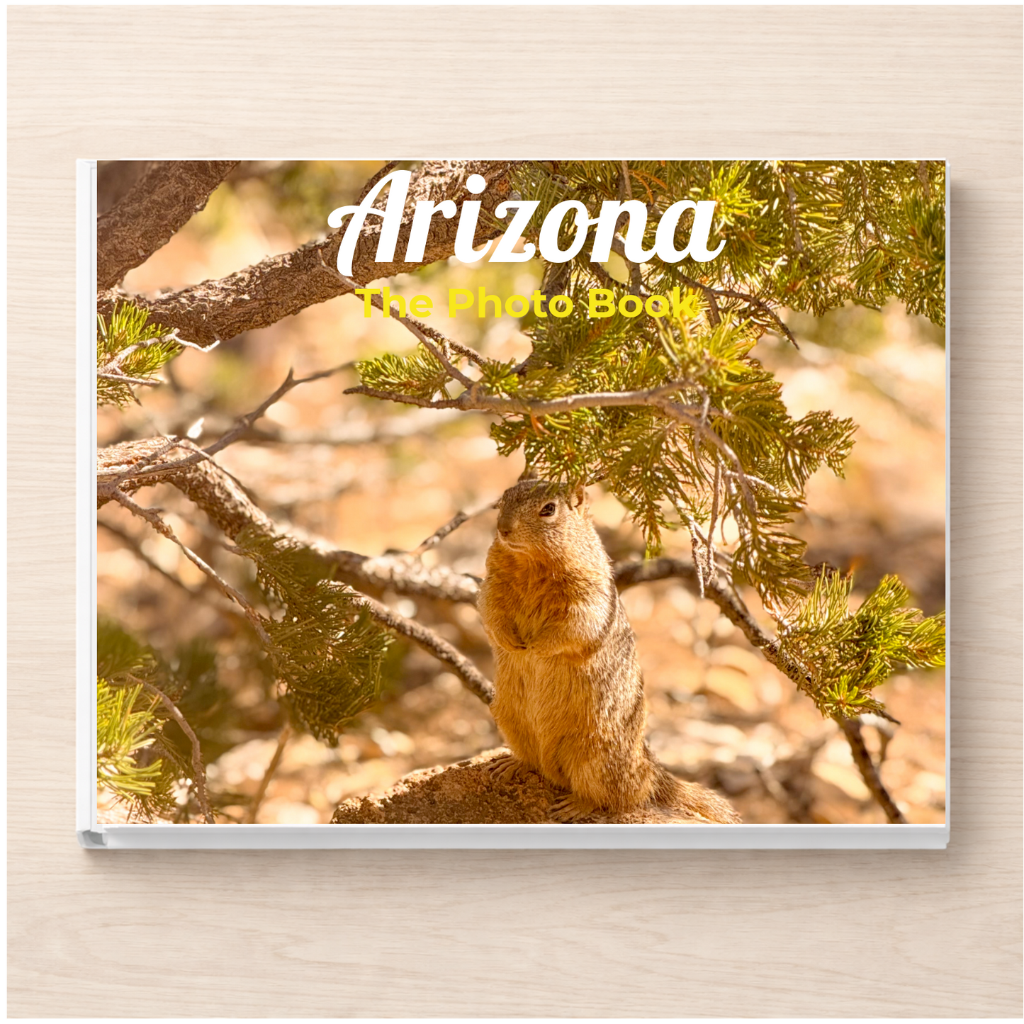 Arizona: The Photo Book