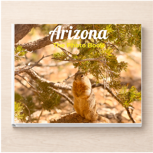 Arizona: The Photo Book