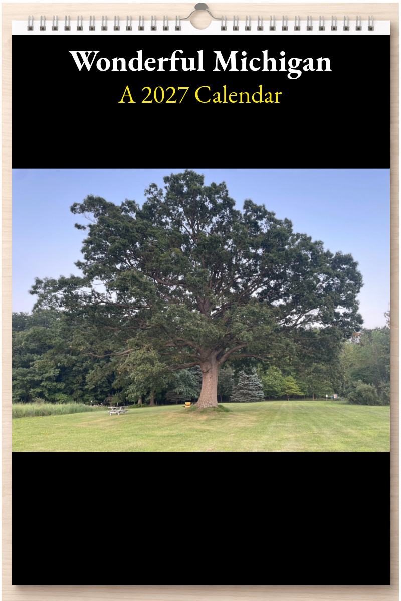 Wonderful Michigan: A 2027 Calendar
