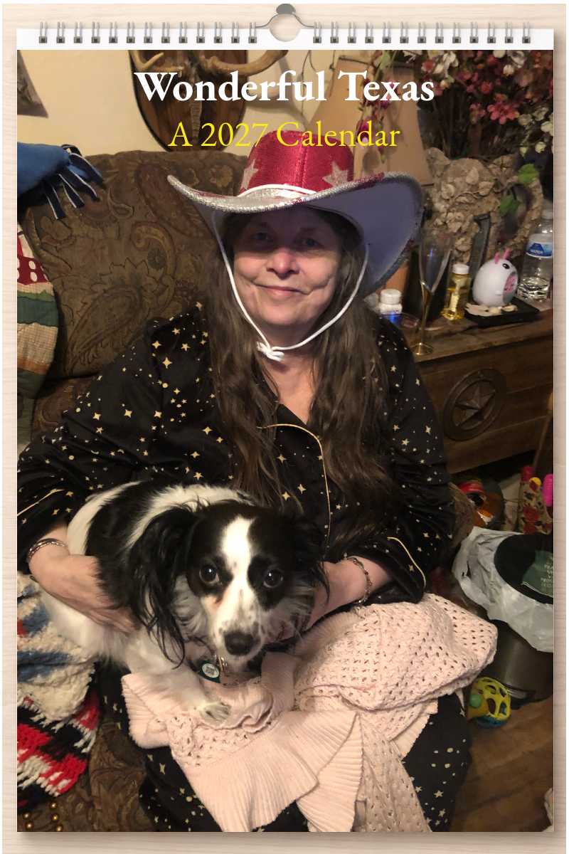 Wonderful Texas: A 2027 Calendar