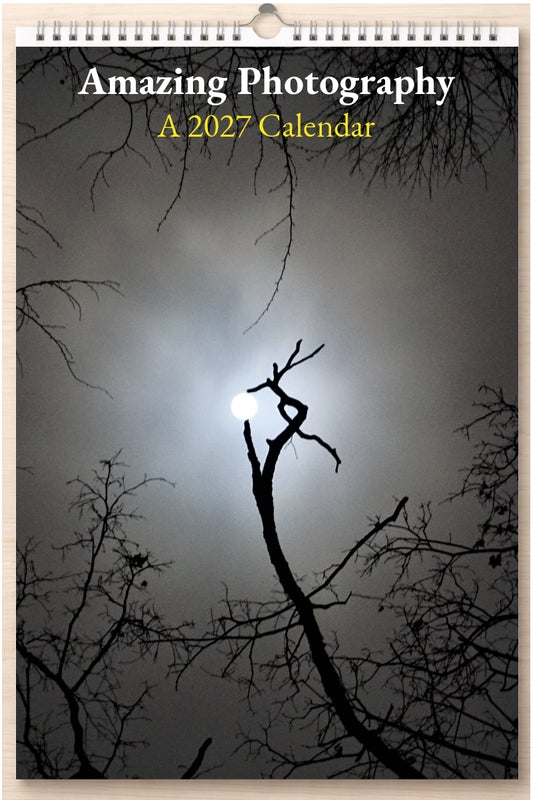 Amazing Photography: A 2027 Calendar