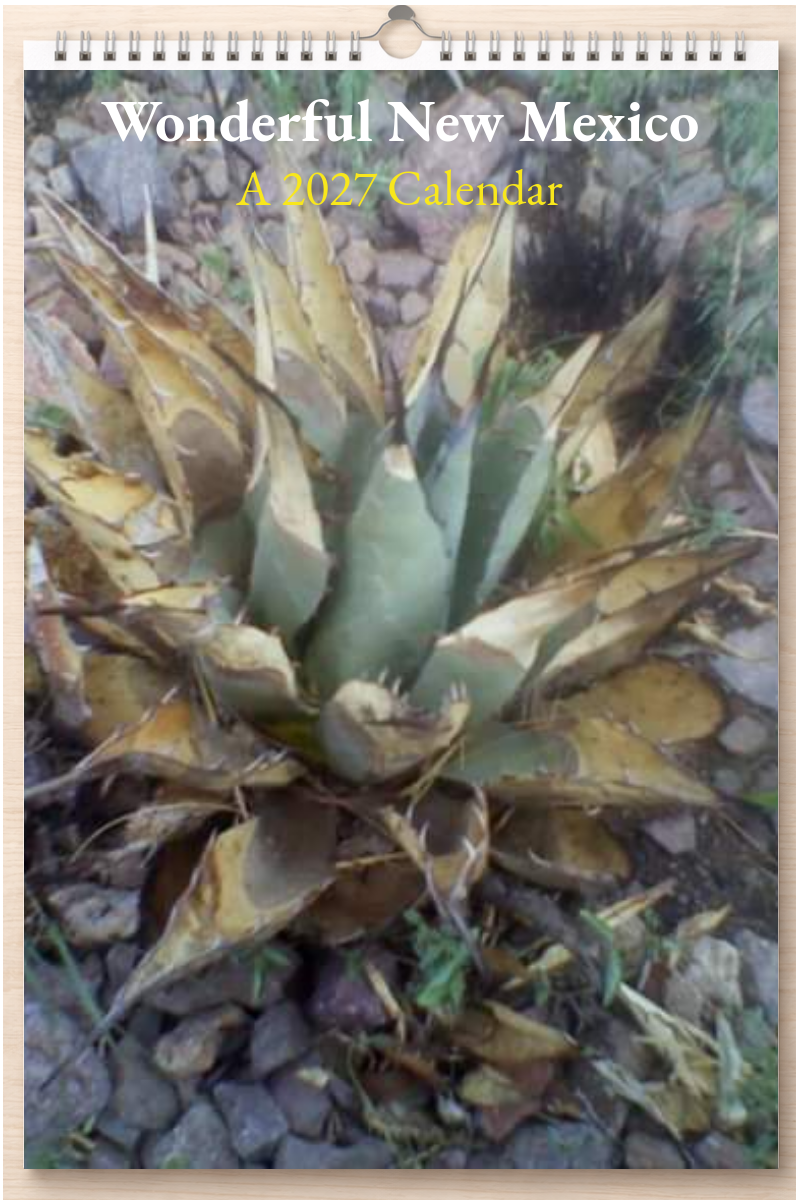 Wonderful New Mexico: A 2027 Calendar
