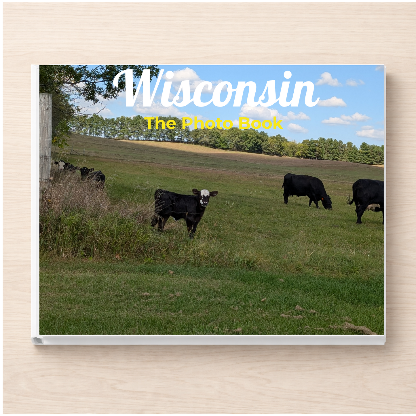 Wisconsin: The Photo Book