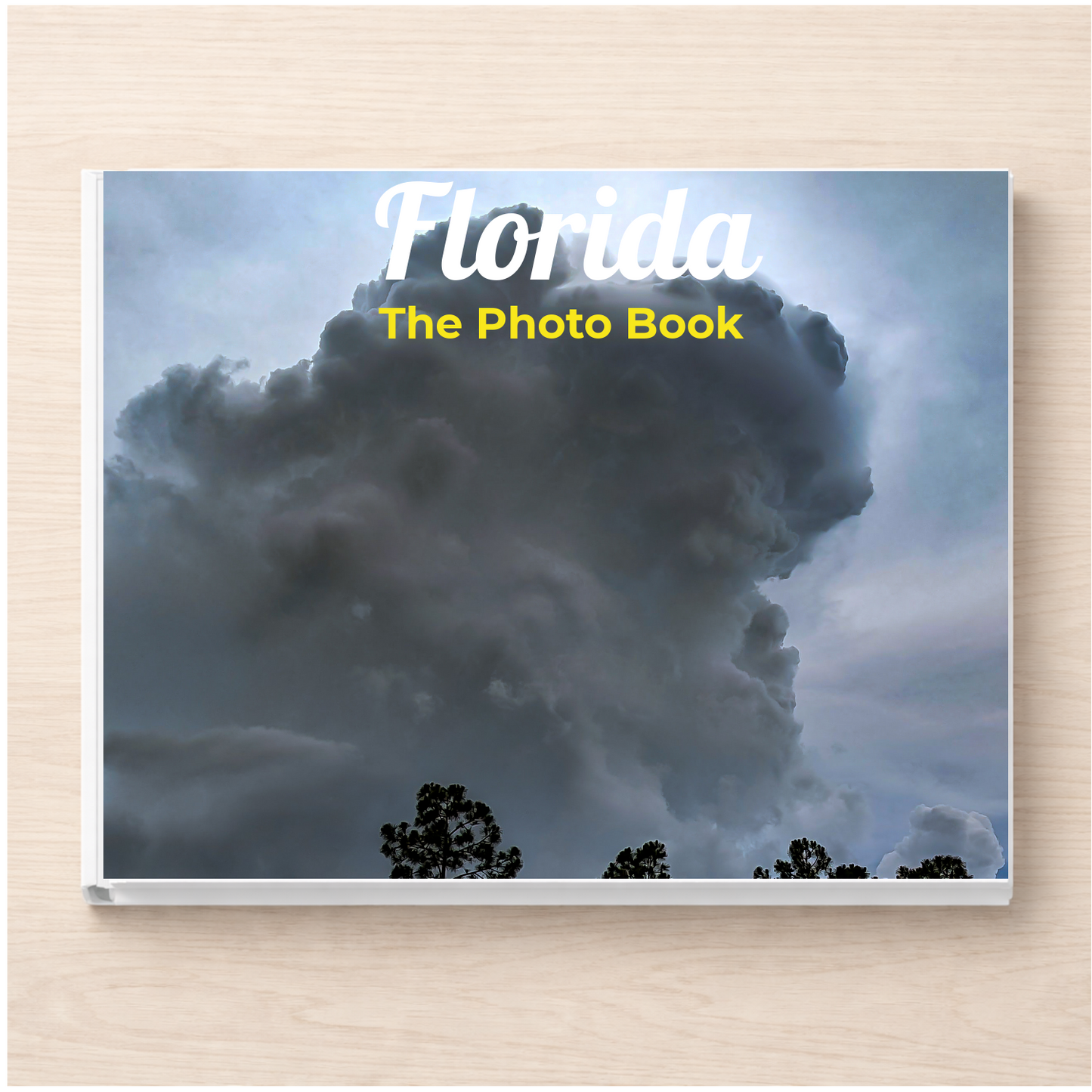 Florida: The Photo Book