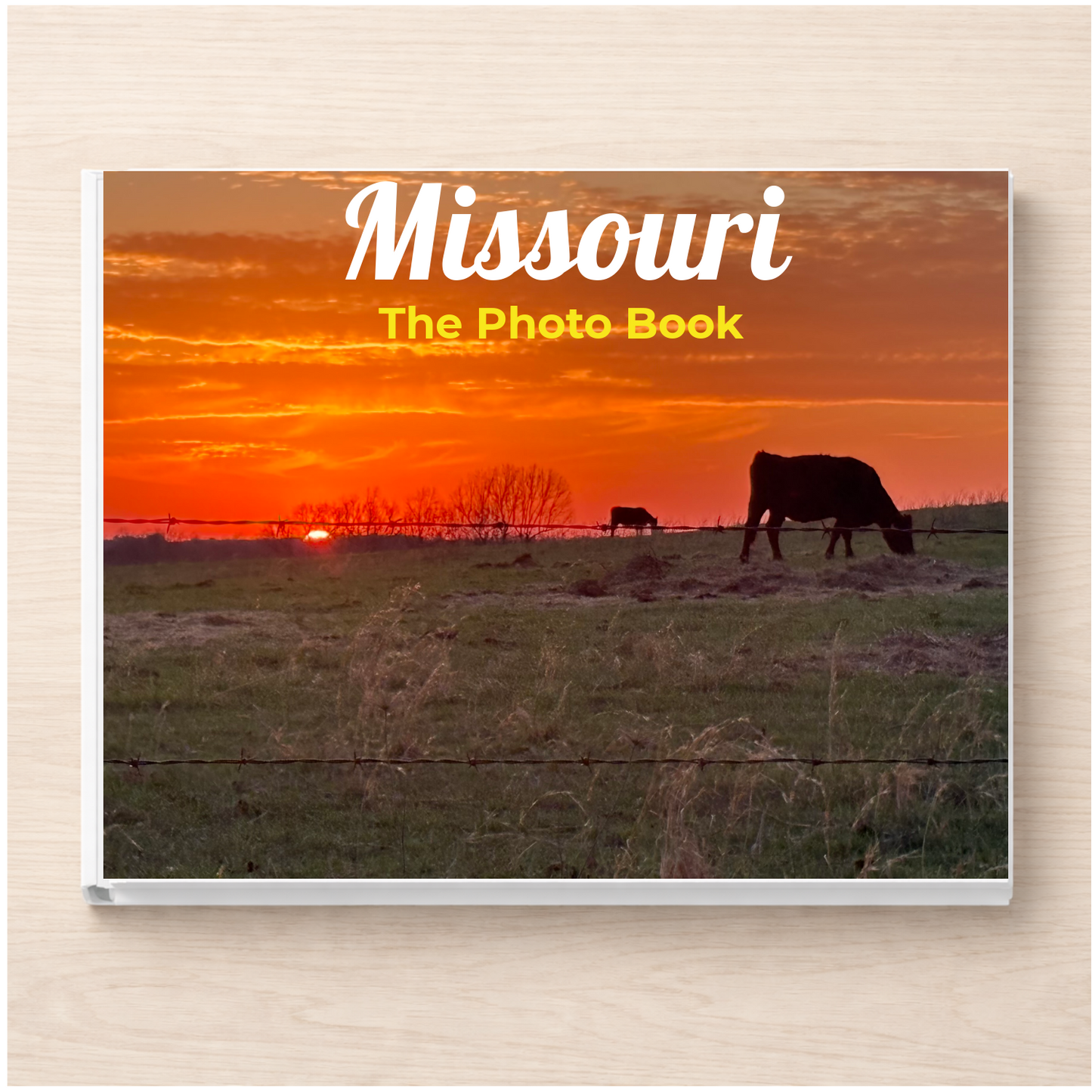 Missouri: The Photo Book
