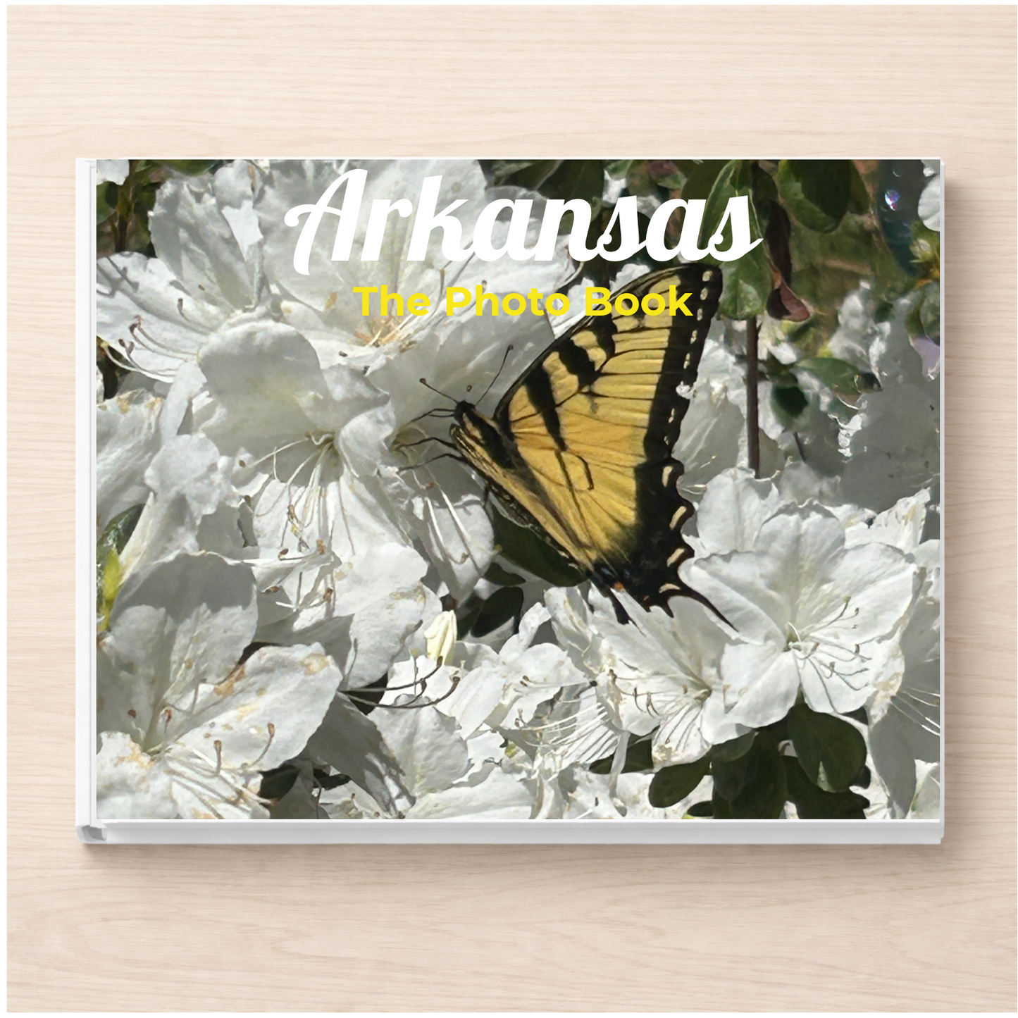 Arkansas: The Photo Book