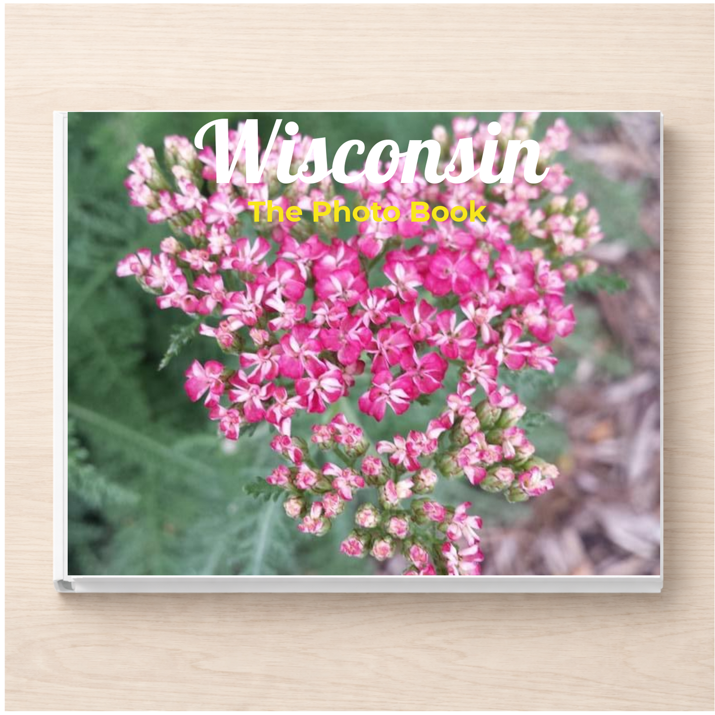 Wisconsin: The Photo Book