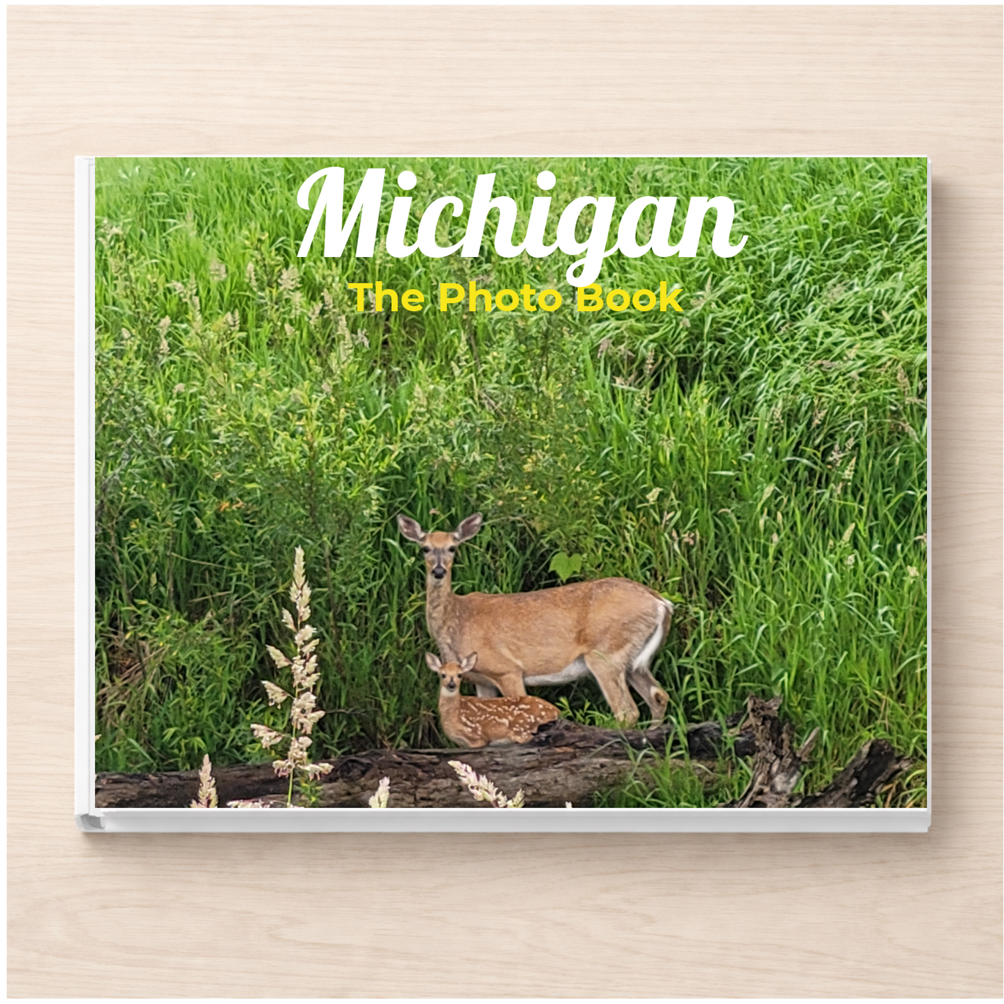 Michigan: The Photo Book