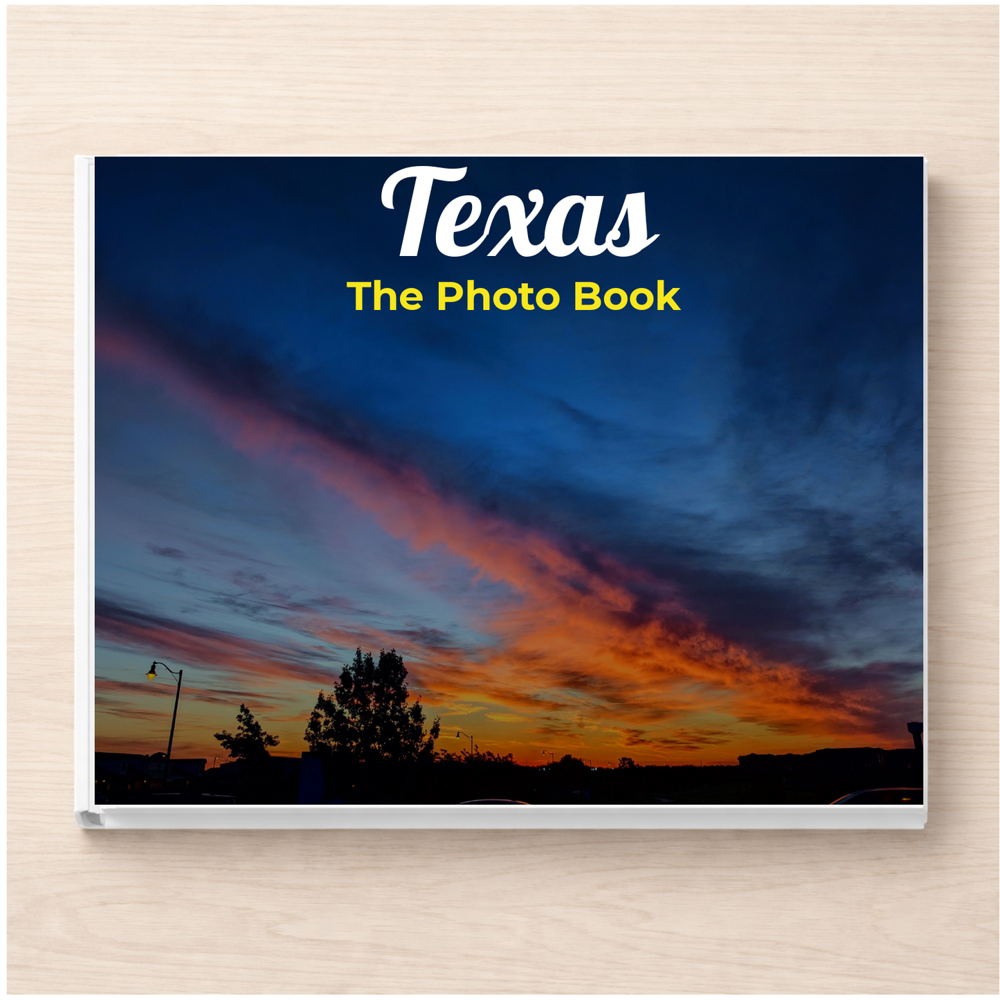 Texas: The Photo Book