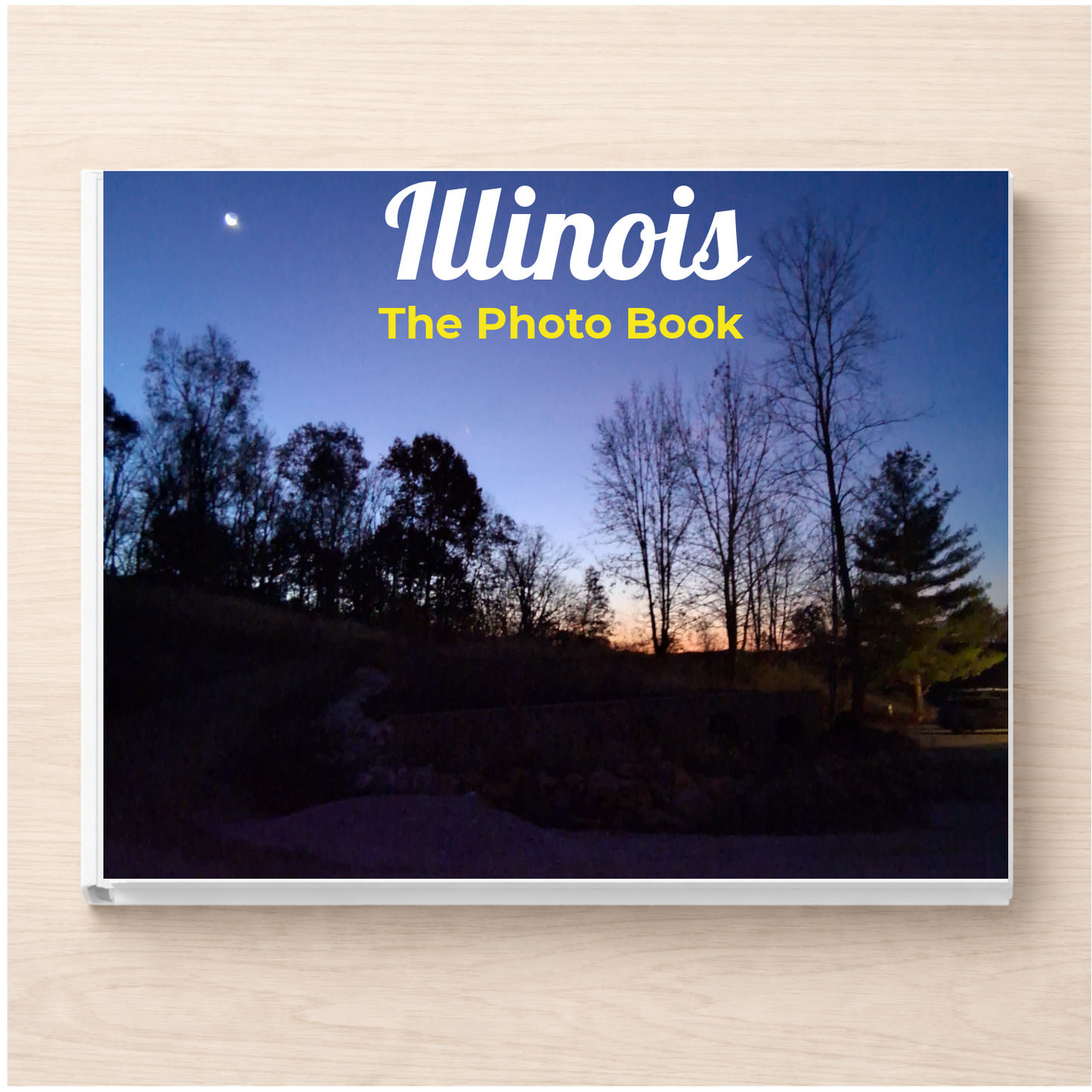 Illinois: The Photo Book