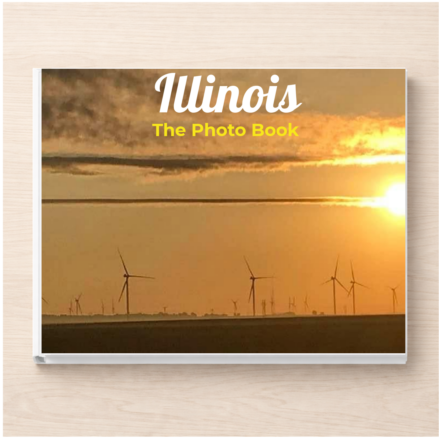 Illinois: The Photo Book