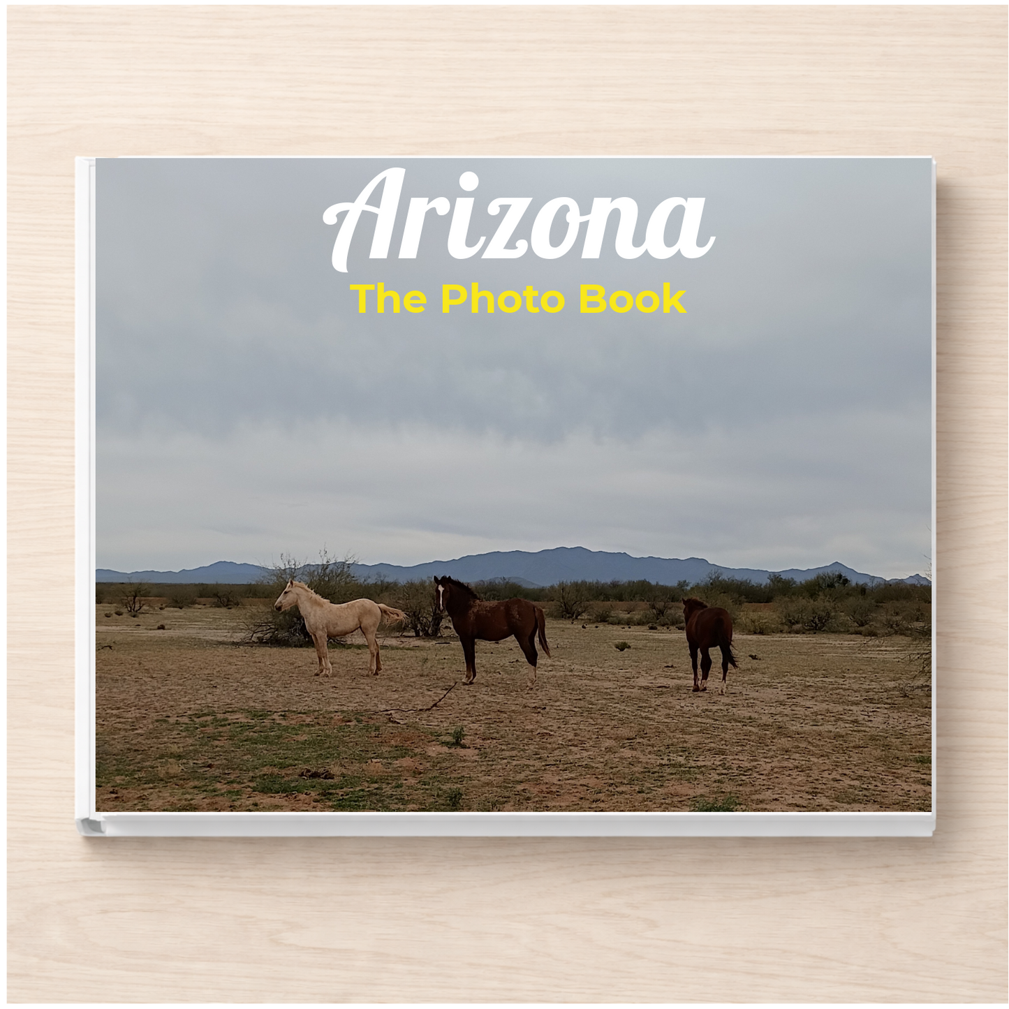 Arizona: The Photo Book