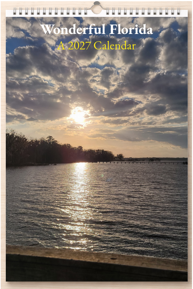 Wonderful Florida: A 2027 Calendar
