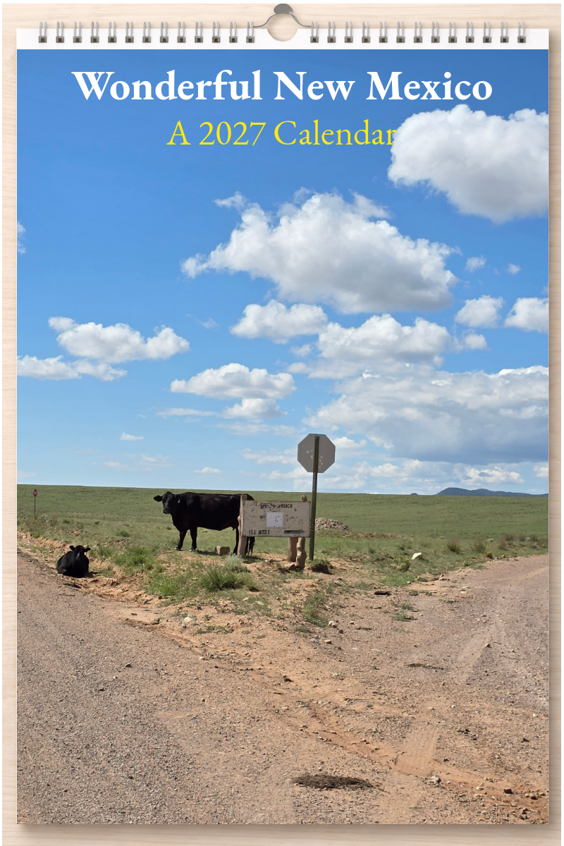 Wonderful New Mexico: A 2027 Calendar