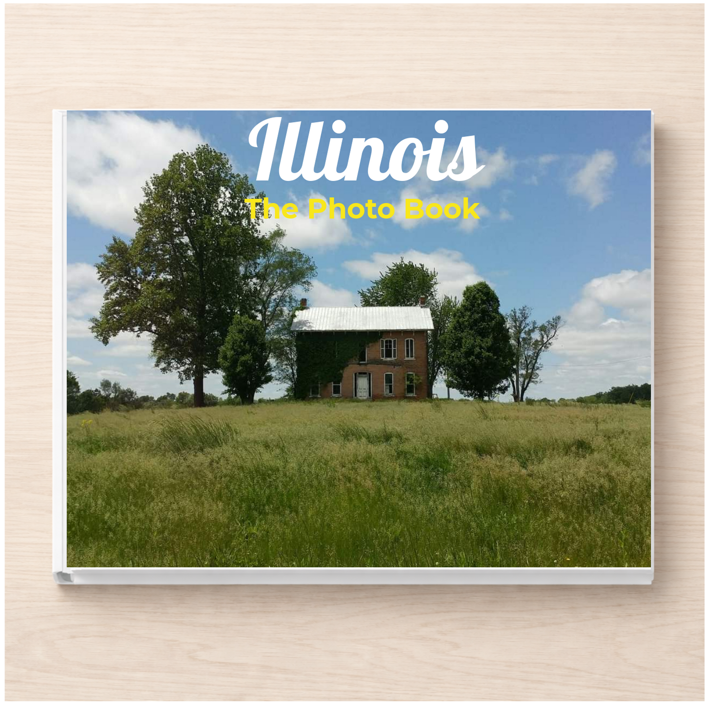 Illinois: The Photo Book