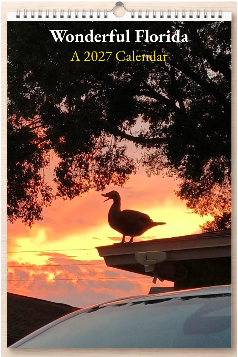 Wonderful Florida: A 2027 Calendar